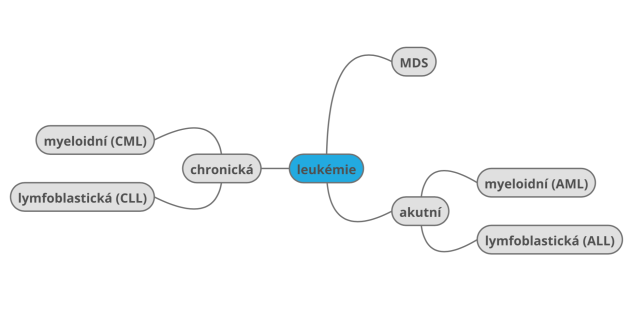 Snímek obrazovky 2019-03-30 v 7.19.51