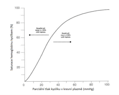 Snímek obrazovky 2019-06-30 v 8.10.09