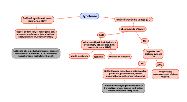 Snímek obrazovky 2019-10-10 v 7.35.47