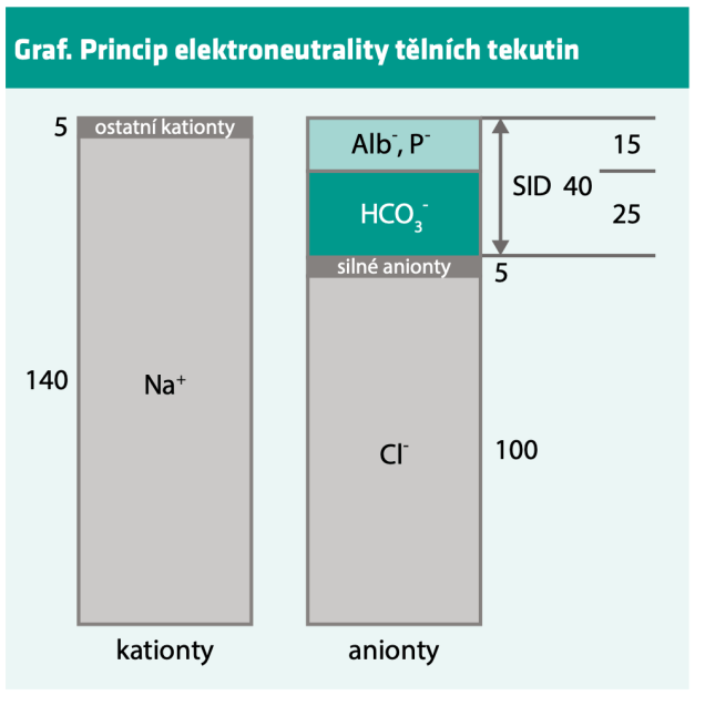 Snímek obrazovky 2020-04-05 v 7.48.26
